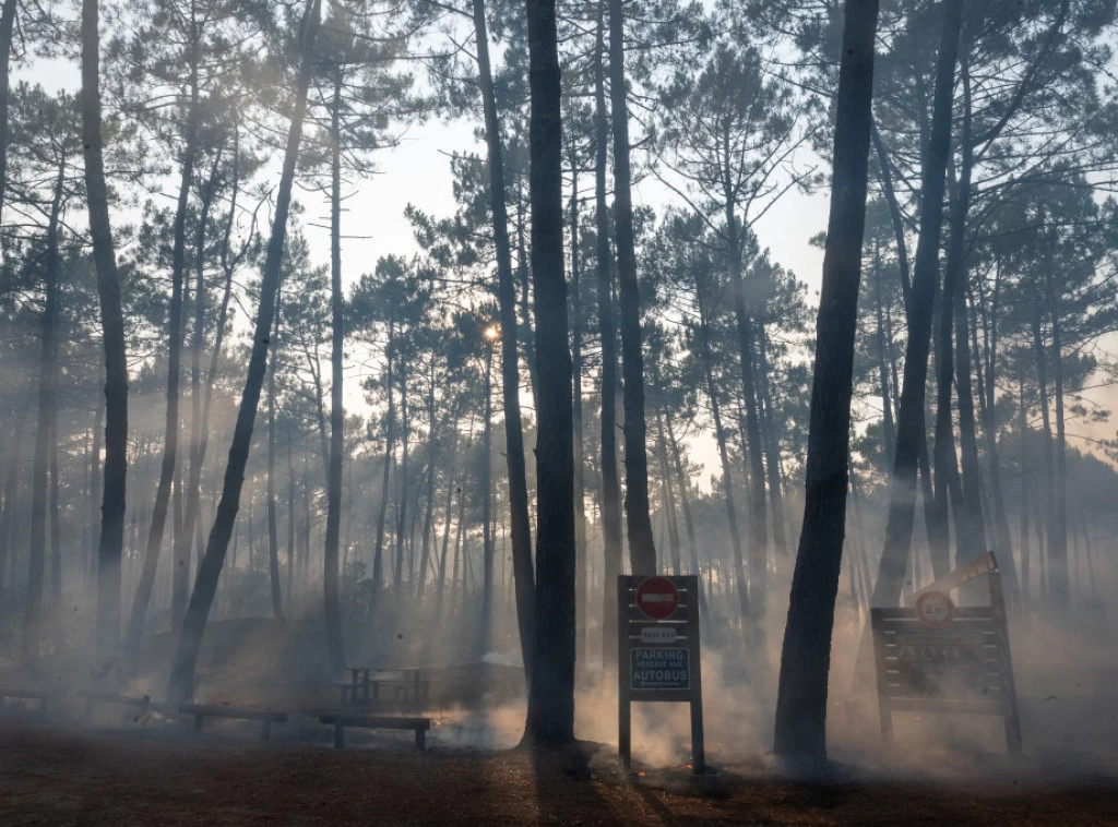 408088_france-wildfires_f.webp