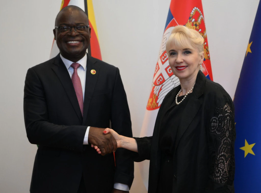 411028_zimbabve-srbija-lazarevic_f.webp